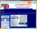 low cost web site example